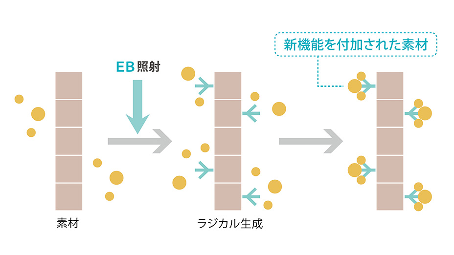 EB（電子線）処理